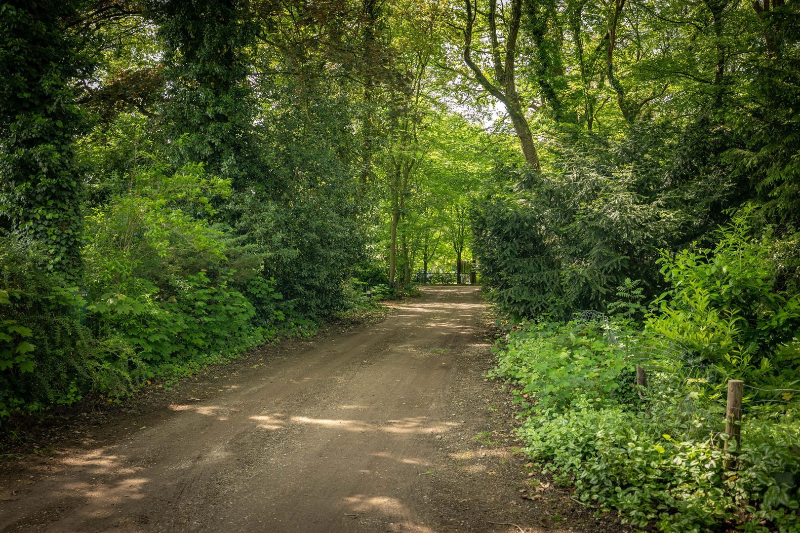 Hagedisweg 18, Epe foto-38