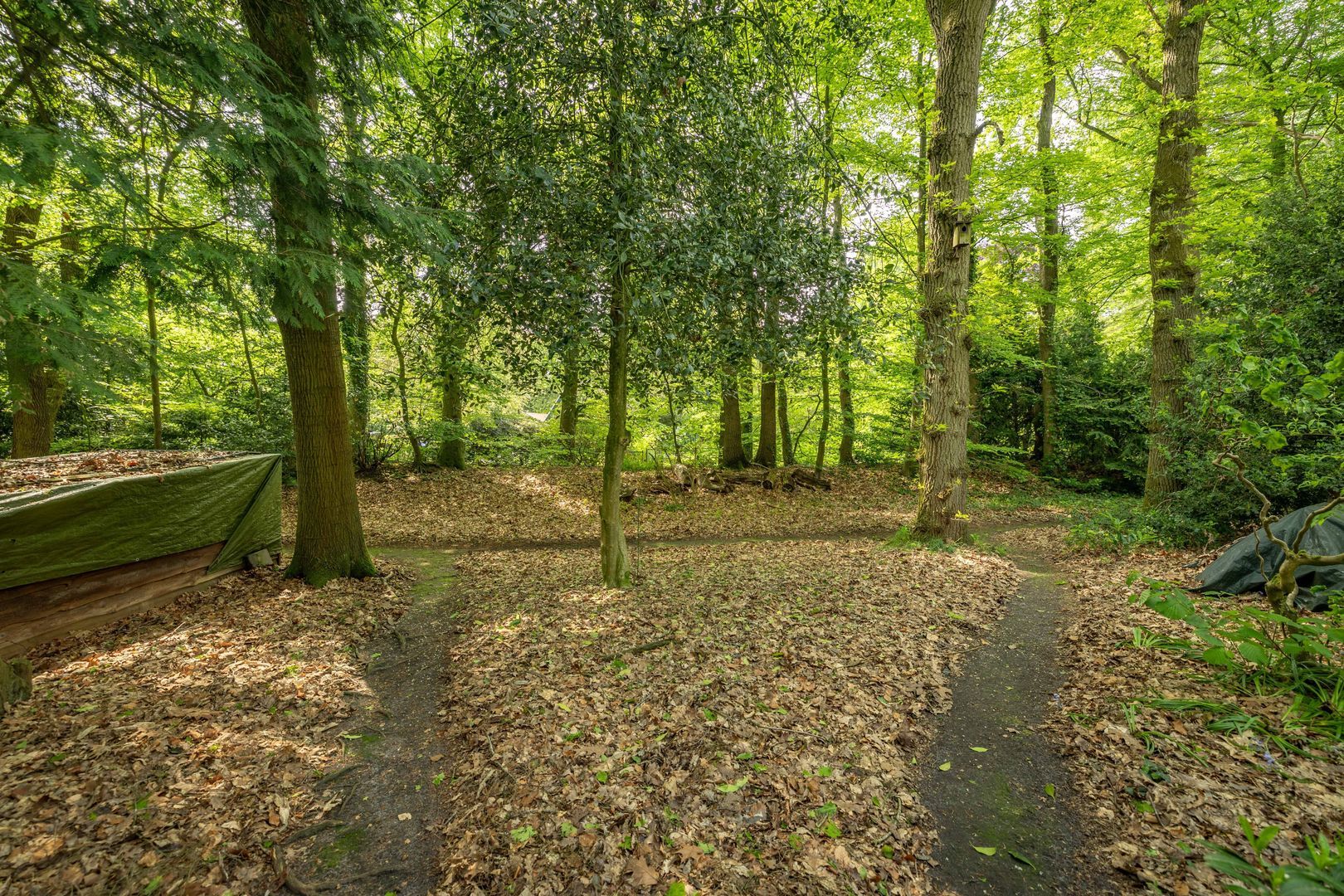 Hagedisweg 18, Epe foto-47