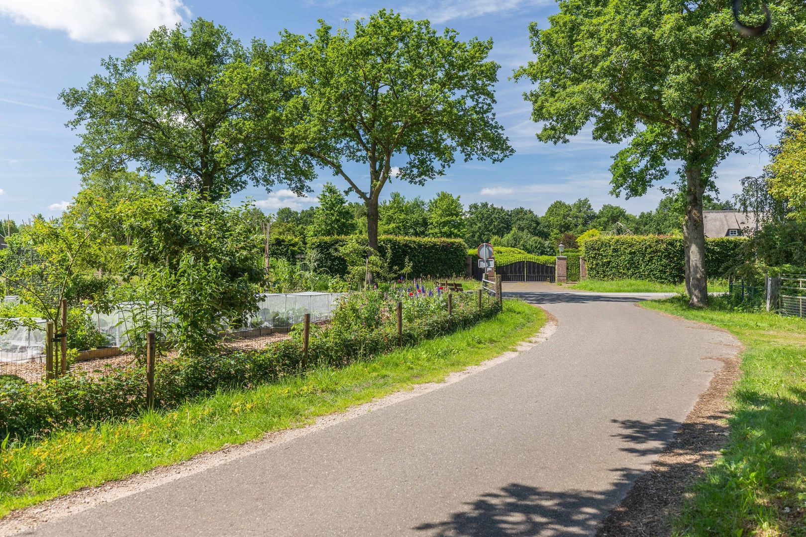 Hofsemolenweg 12, Vaassen foto-55