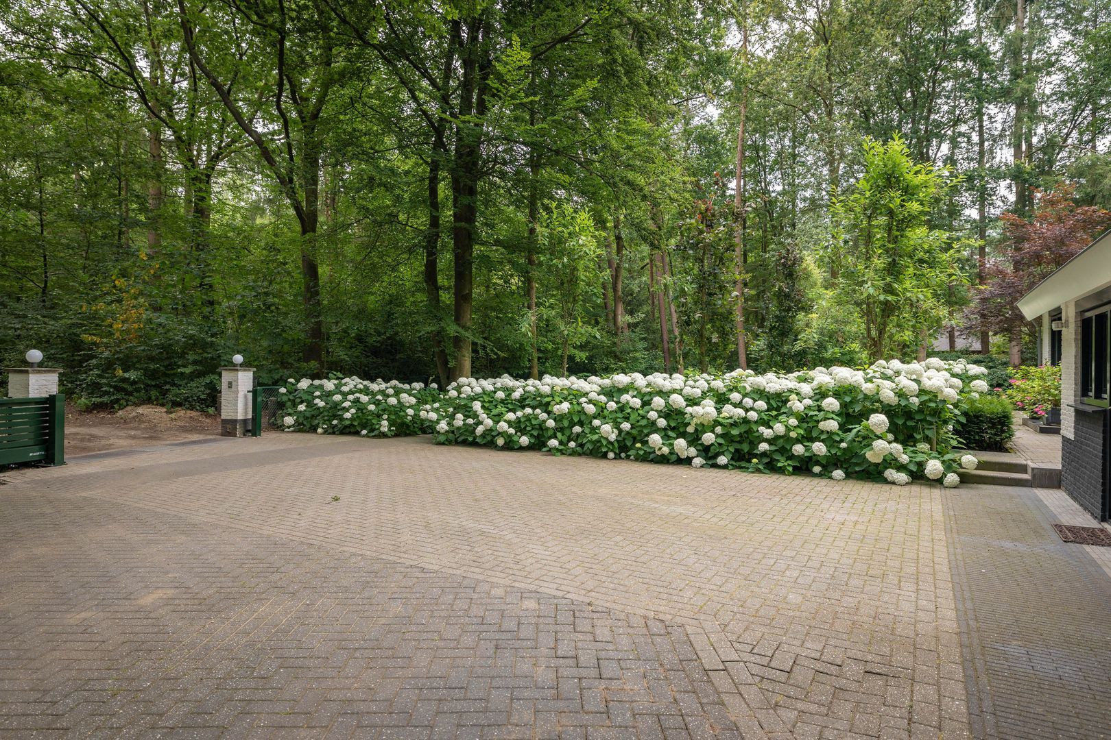 Burgemeester Van der Feltzlaan 39, Epe foto-44