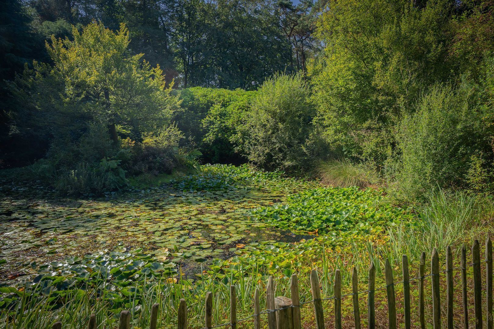 Gortelseweg 35, Vaassen foto-56