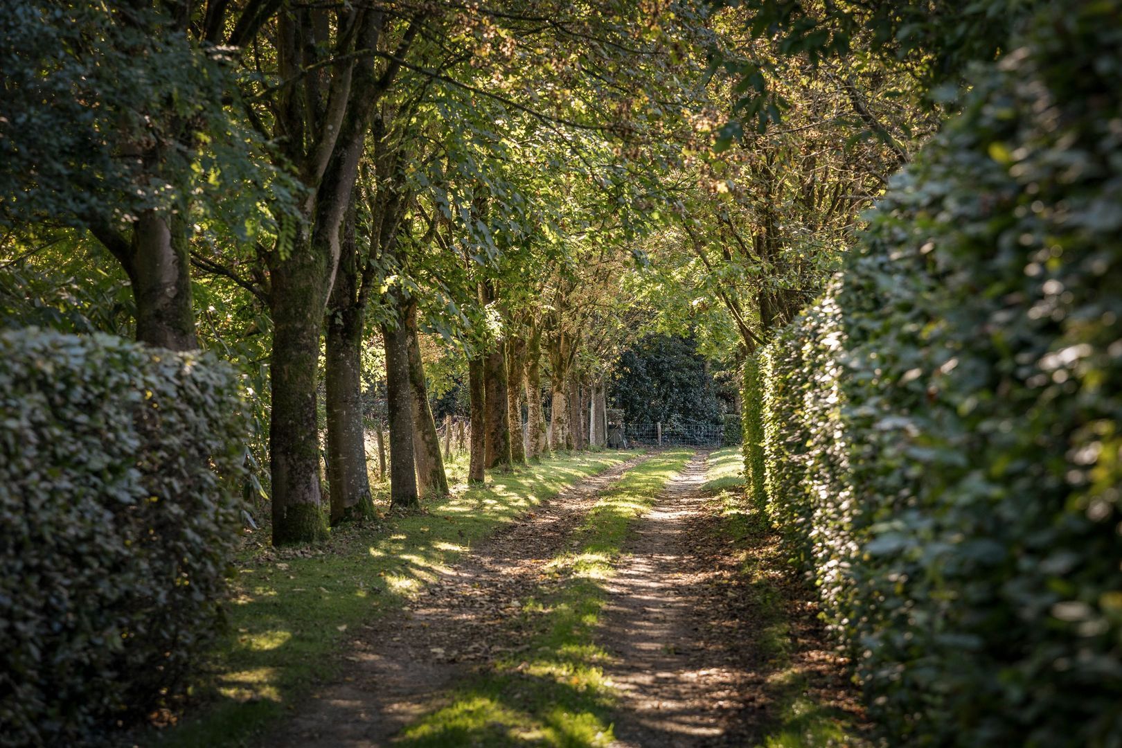 Norelweg 6, Epe foto-45