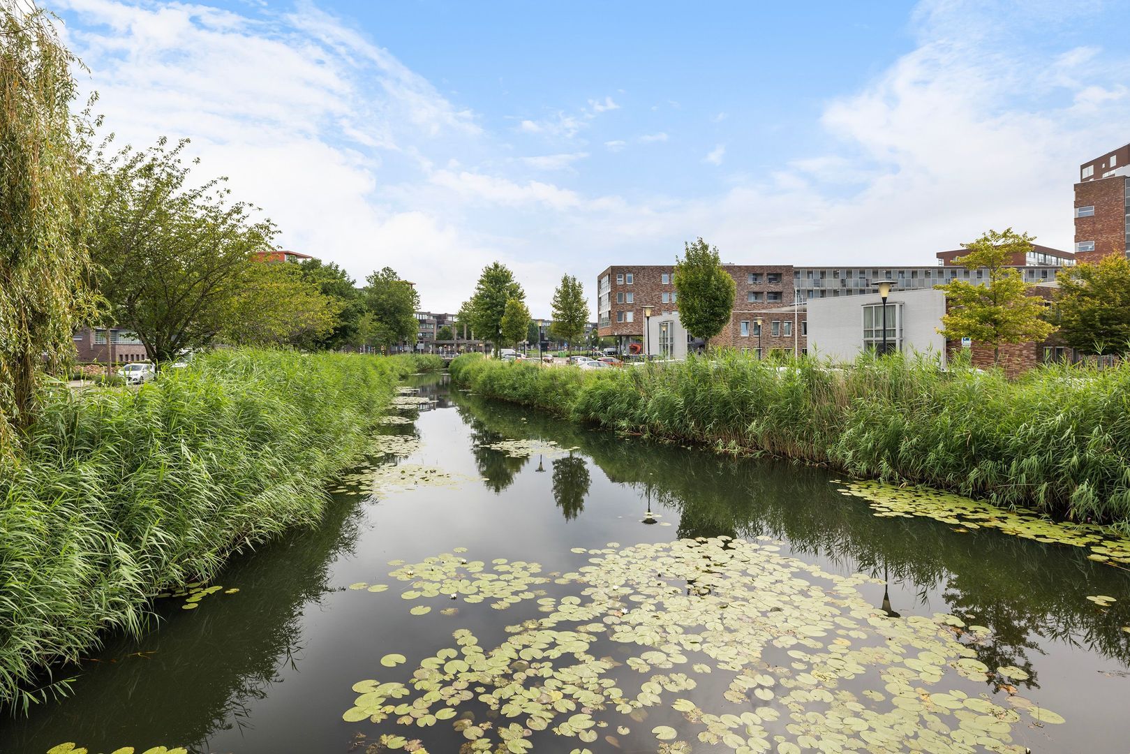 Zuidersingel 268, Barendrecht foto-45