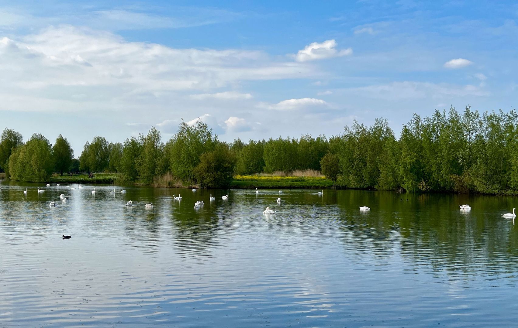 De Hoge Bogerd 5, Hendrik-Ido-Ambacht foto-39