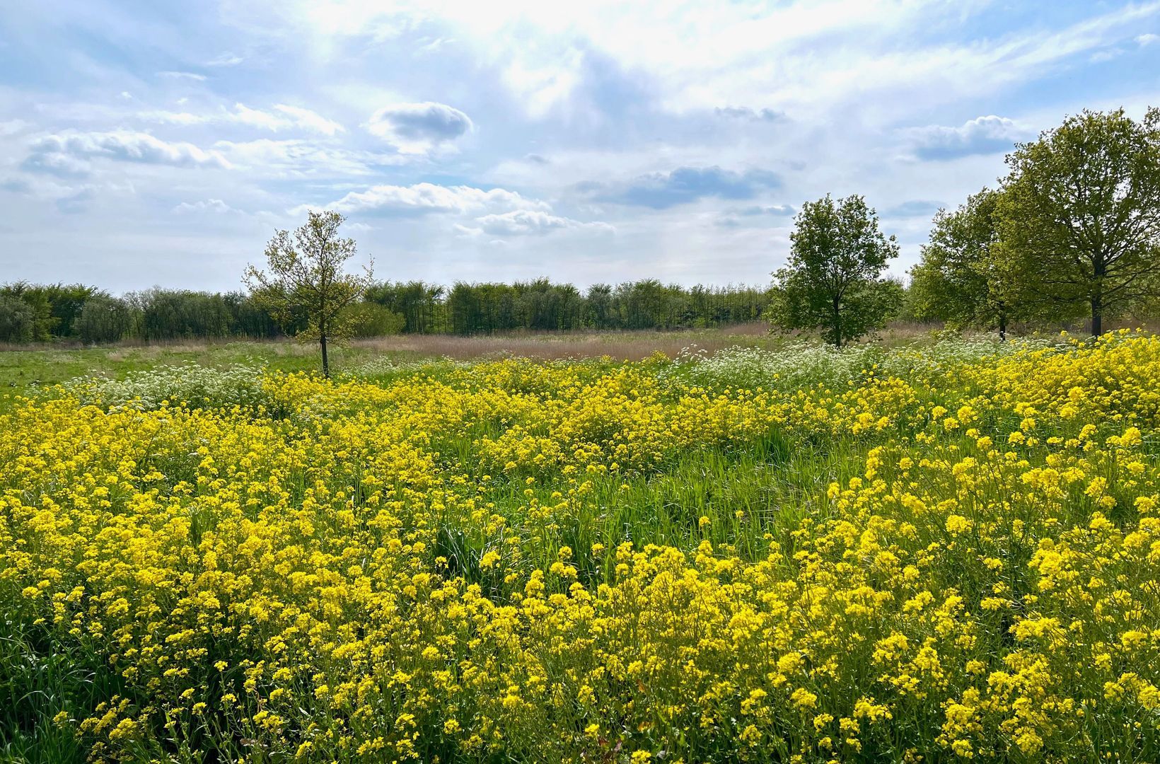 De Hoge Bogerd 5, Hendrik-Ido-Ambacht foto-38