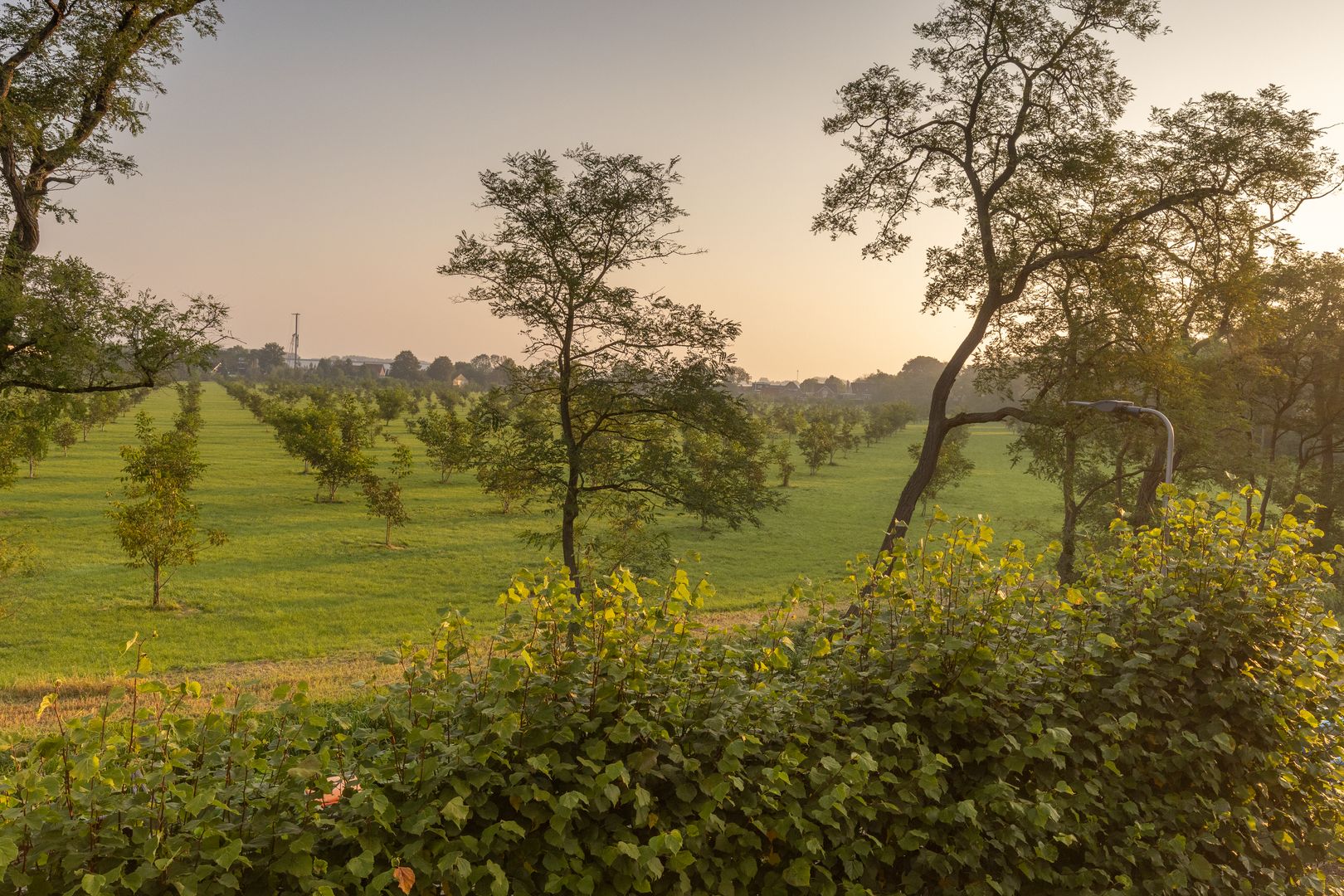 Gebroken Meeldijk 3, Ridderkerk foto-47