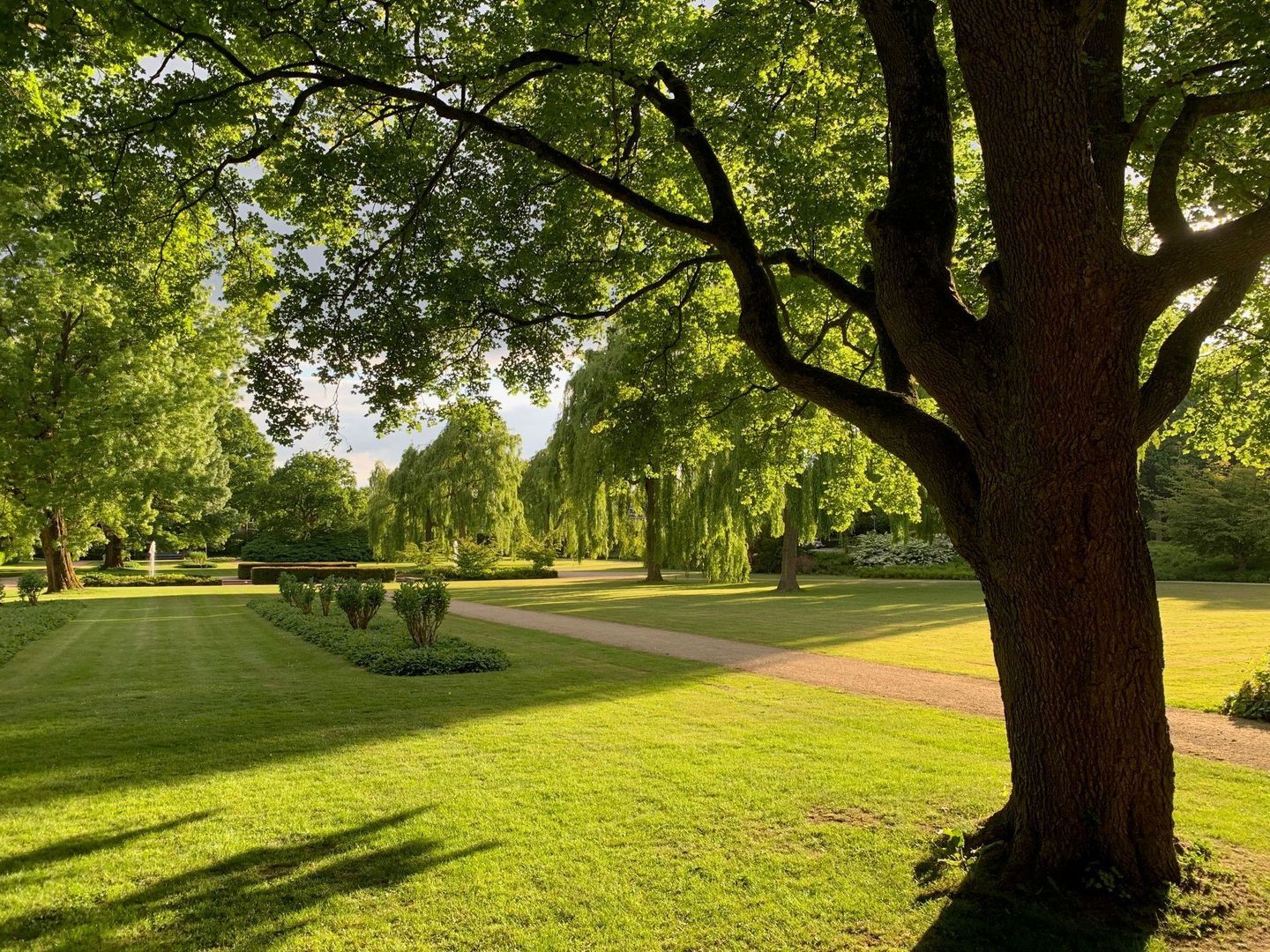 Badweg 11, Dordrecht foto-60
