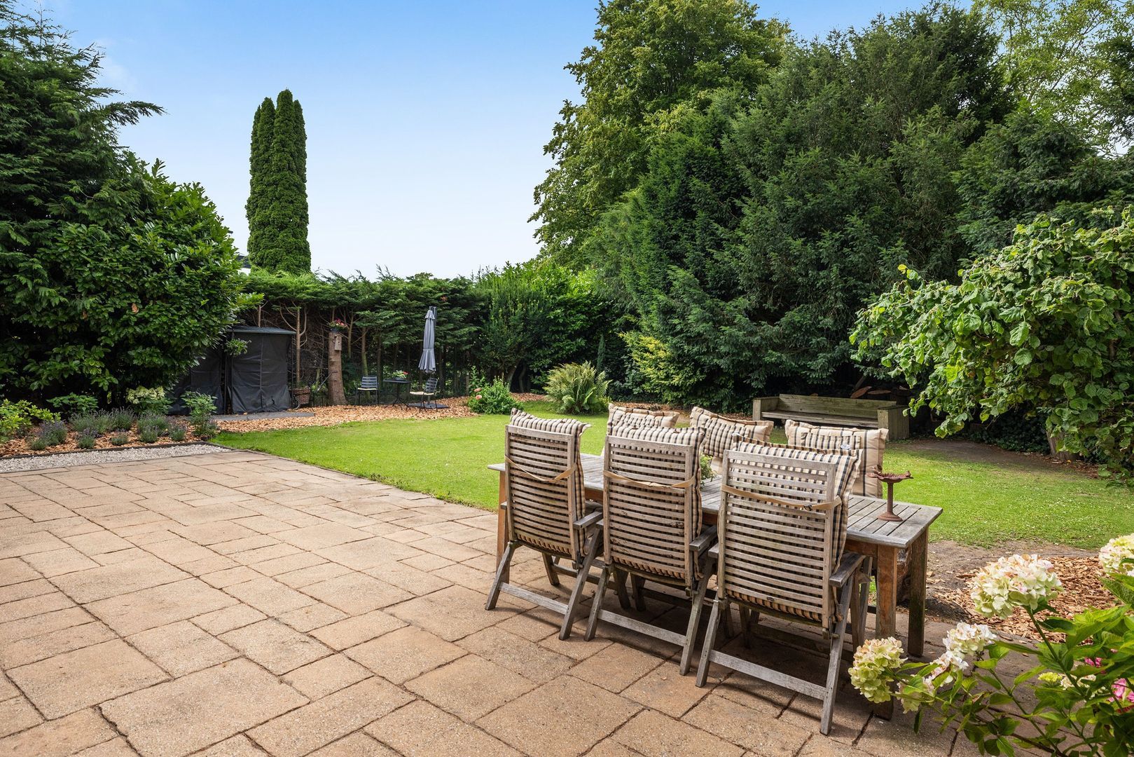 Campanula 7, Dordrecht foto-27