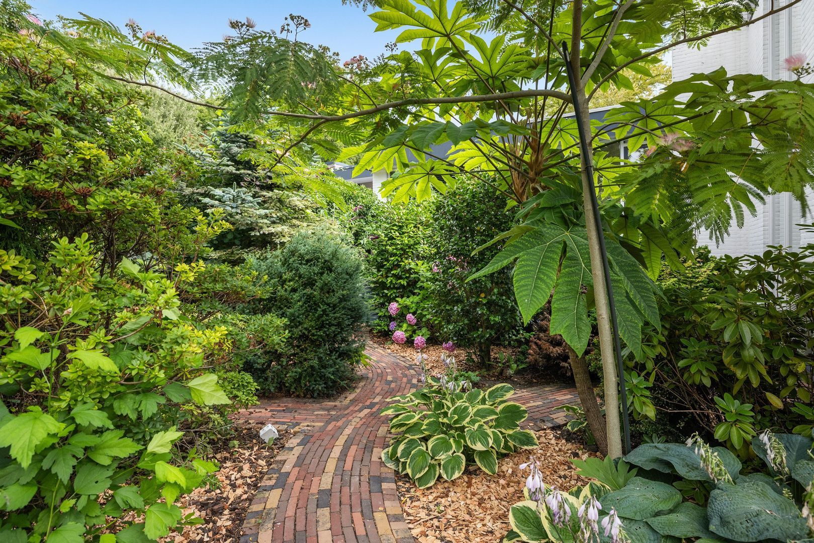 Campanula 7, Dordrecht foto-31