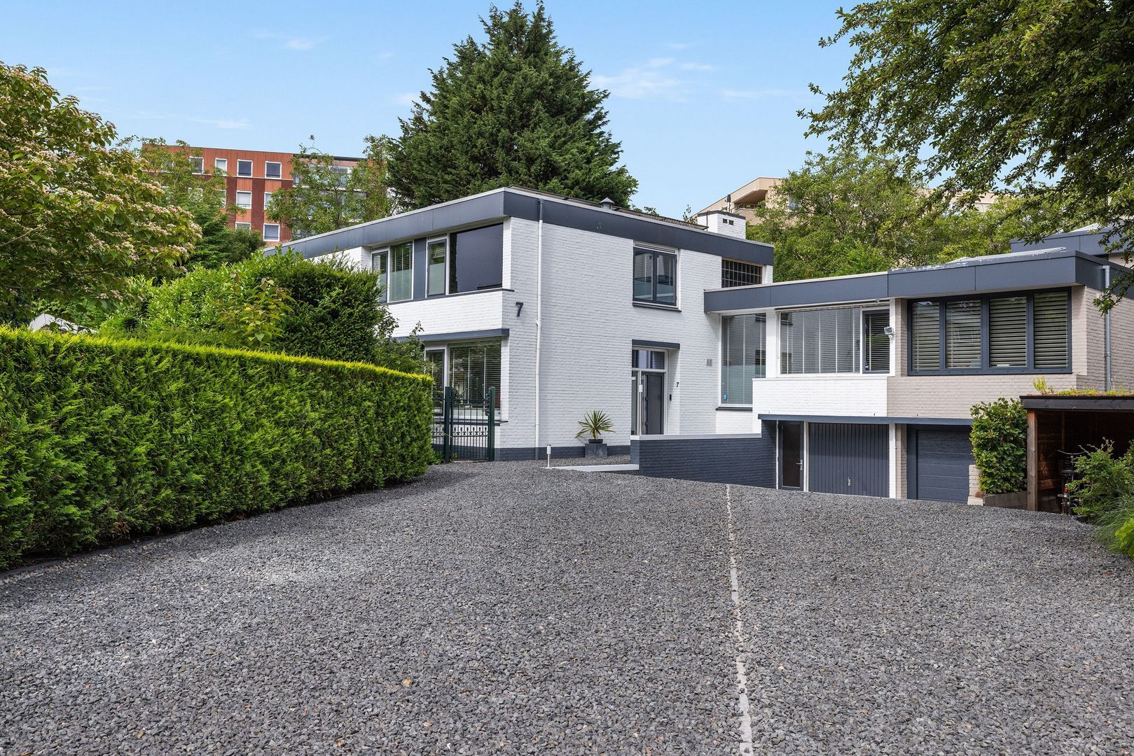 Campanula 7, Dordrecht foto-0