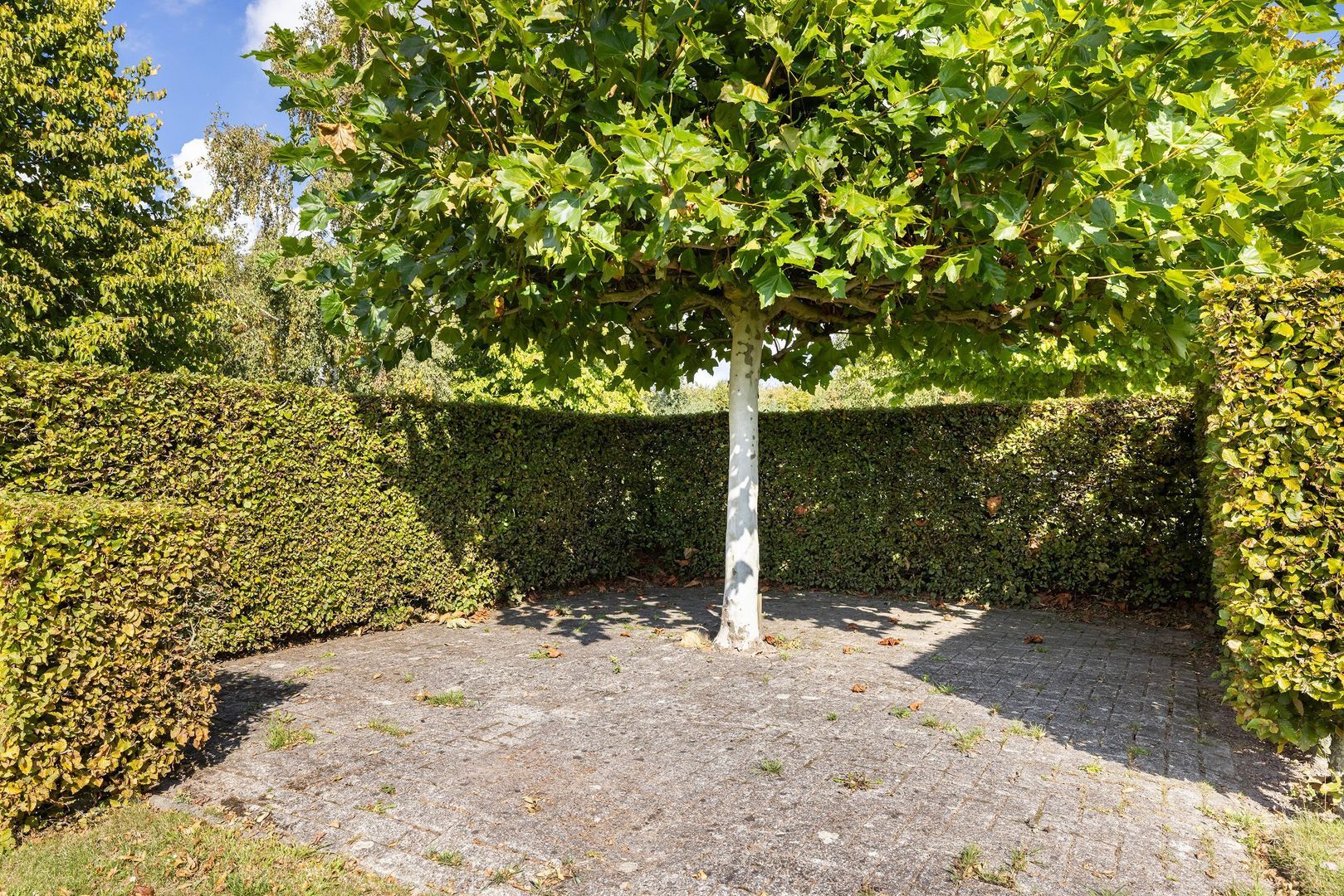 Kijfhoek 32, Zwijndrecht foto-55