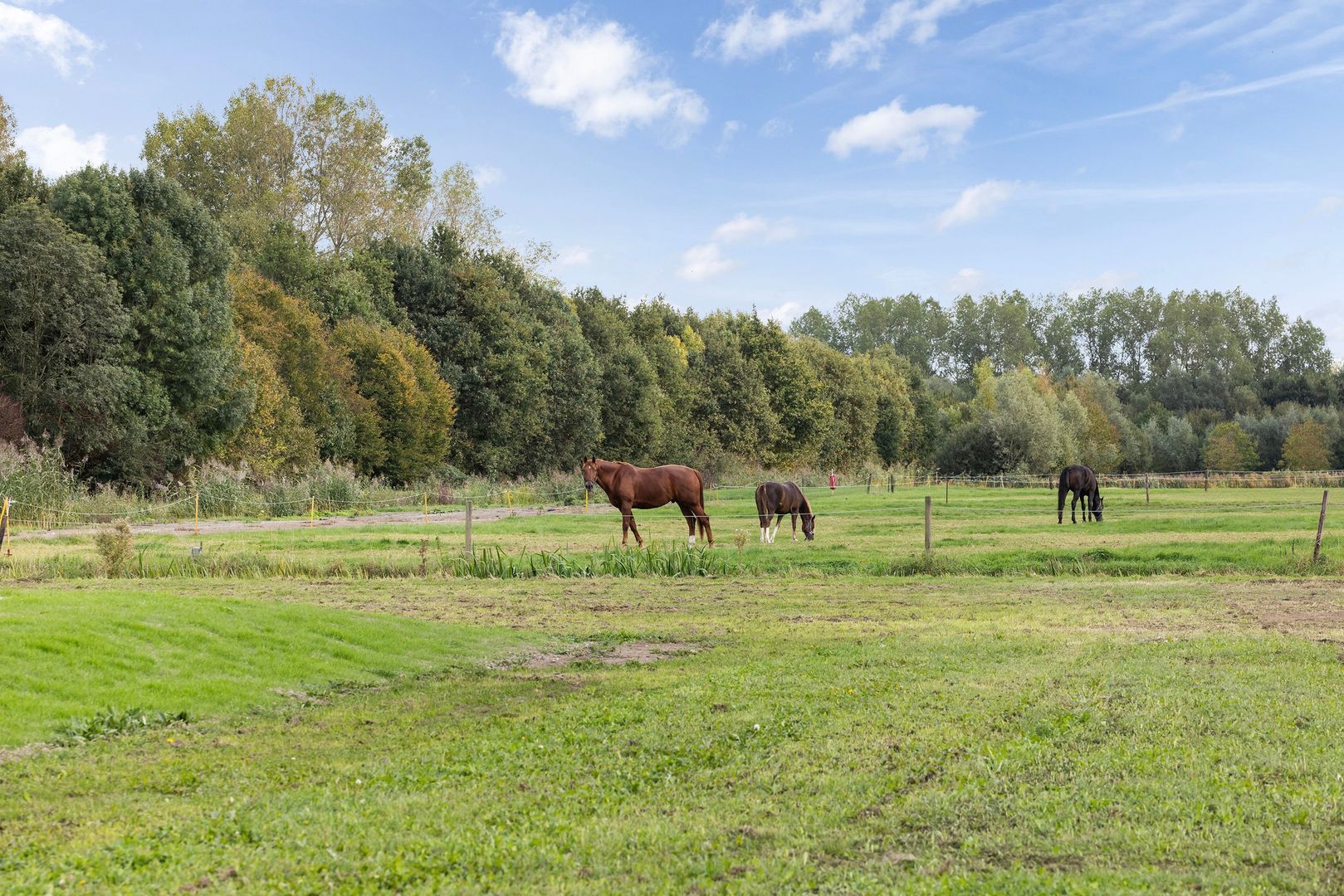 Kijfhoek 32, Zwijndrecht foto-61