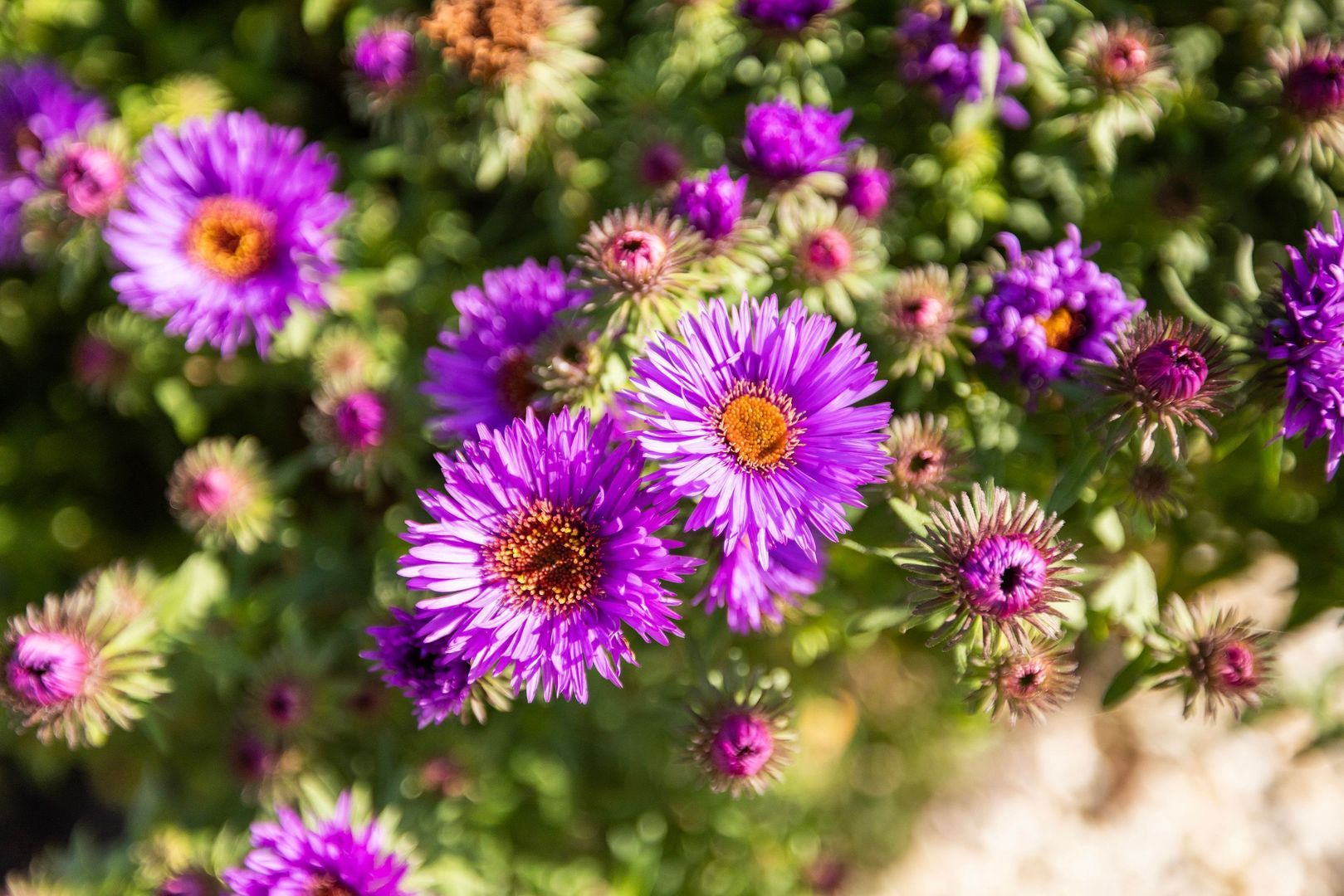 Kijfhoek 32, Zwijndrecht foto-54