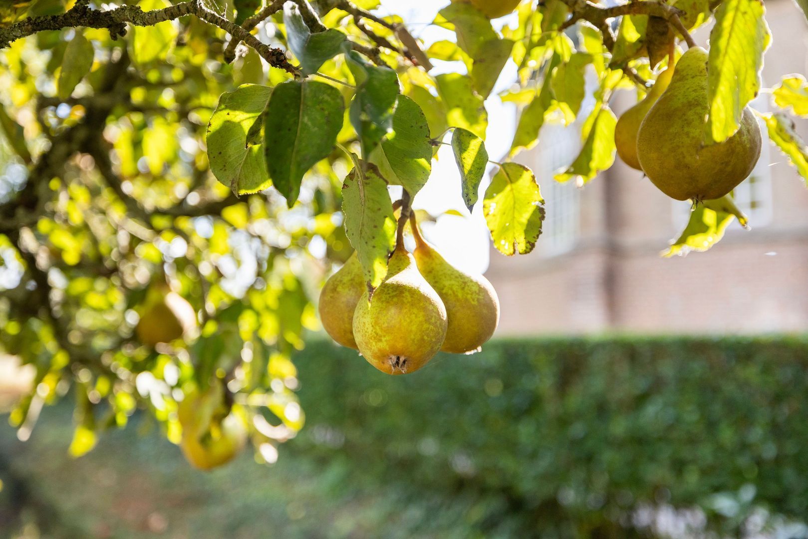 Kijfhoek 32, Zwijndrecht foto-53