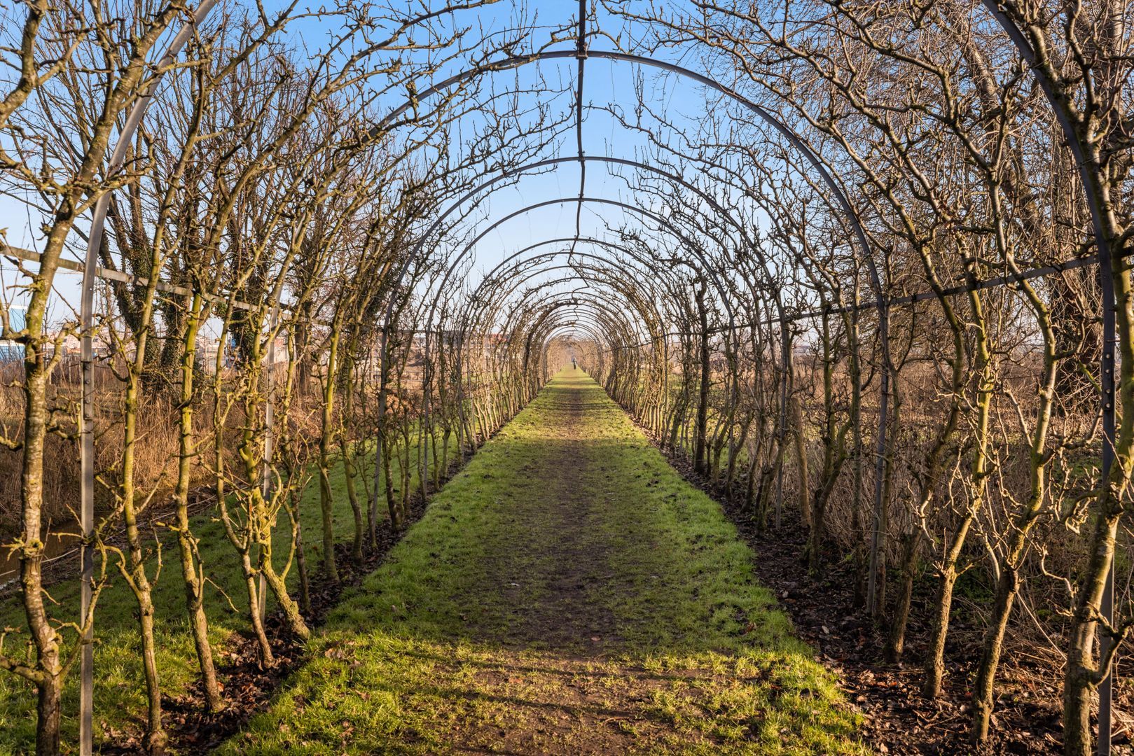 Perenlaantje 10, Hendrik-Ido-Ambacht foto-53
