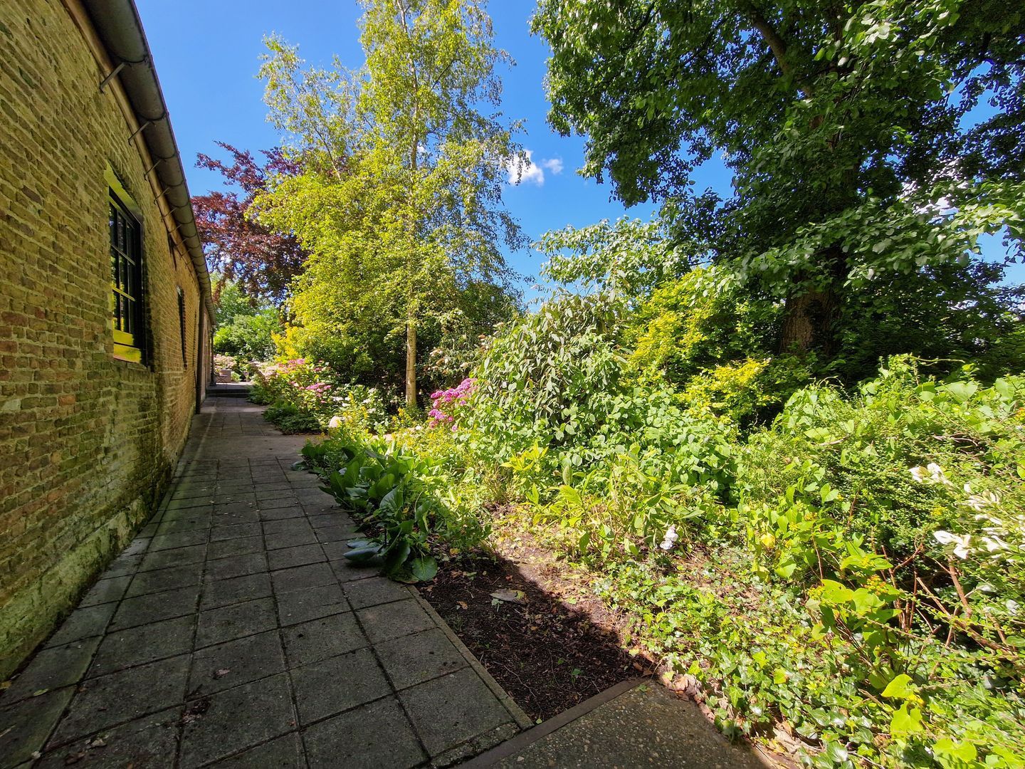 Dorpsstraat 55, Heerjansdam foto-40