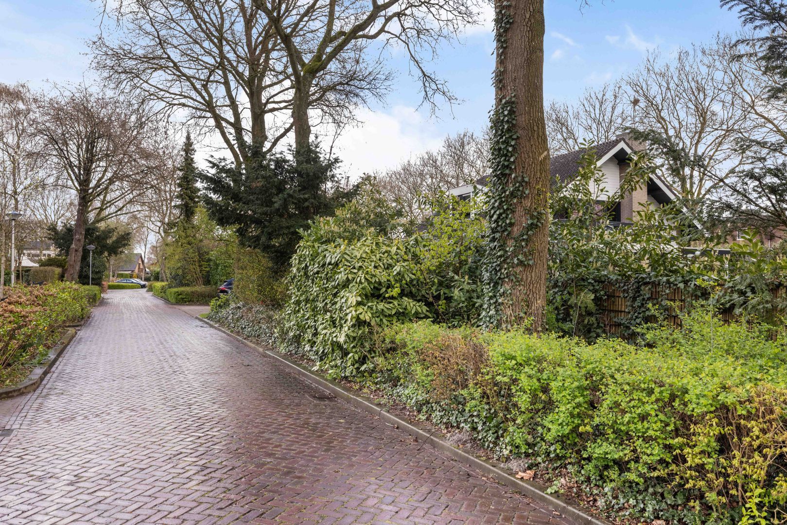 Hillenraad 6, Zwijndrecht foto-7