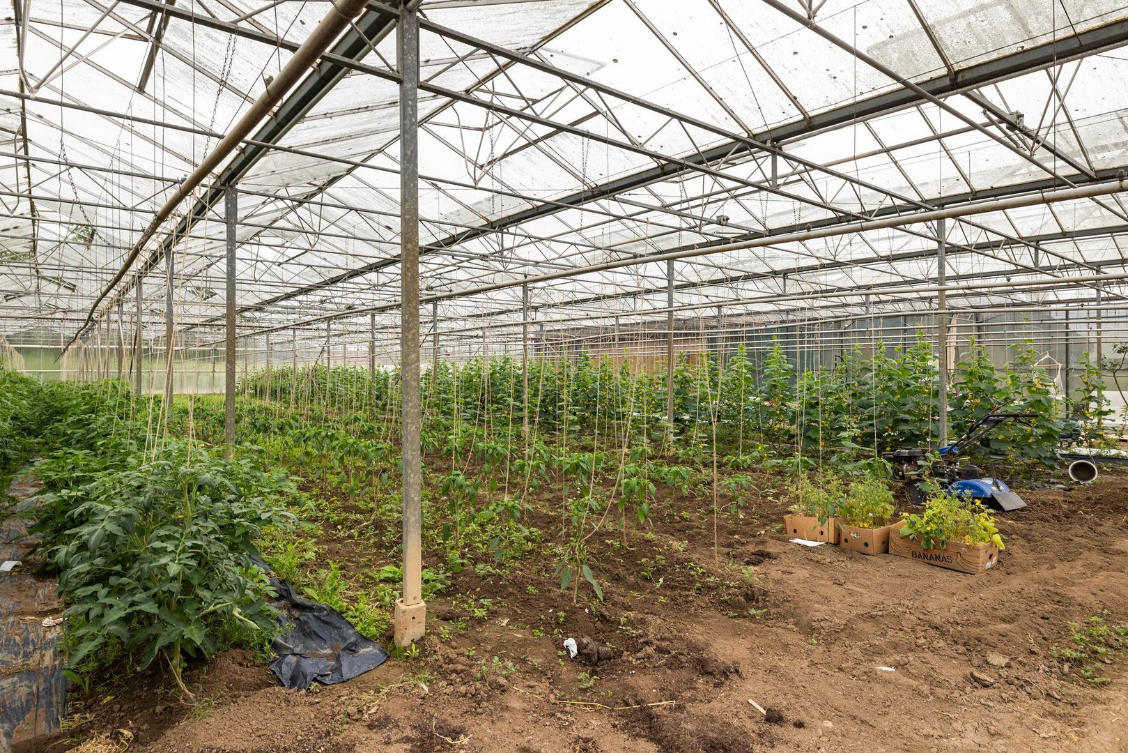 Kijfhoek 41, Zwijndrecht foto-31