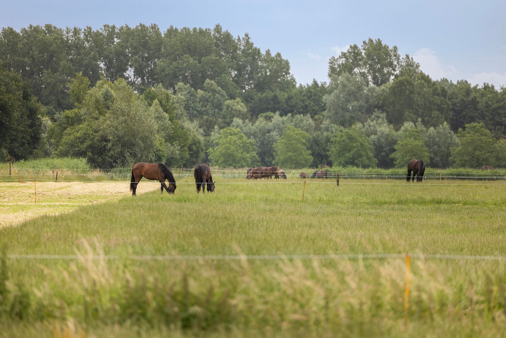 Kijfhoek 41, Zwijndrecht foto-4