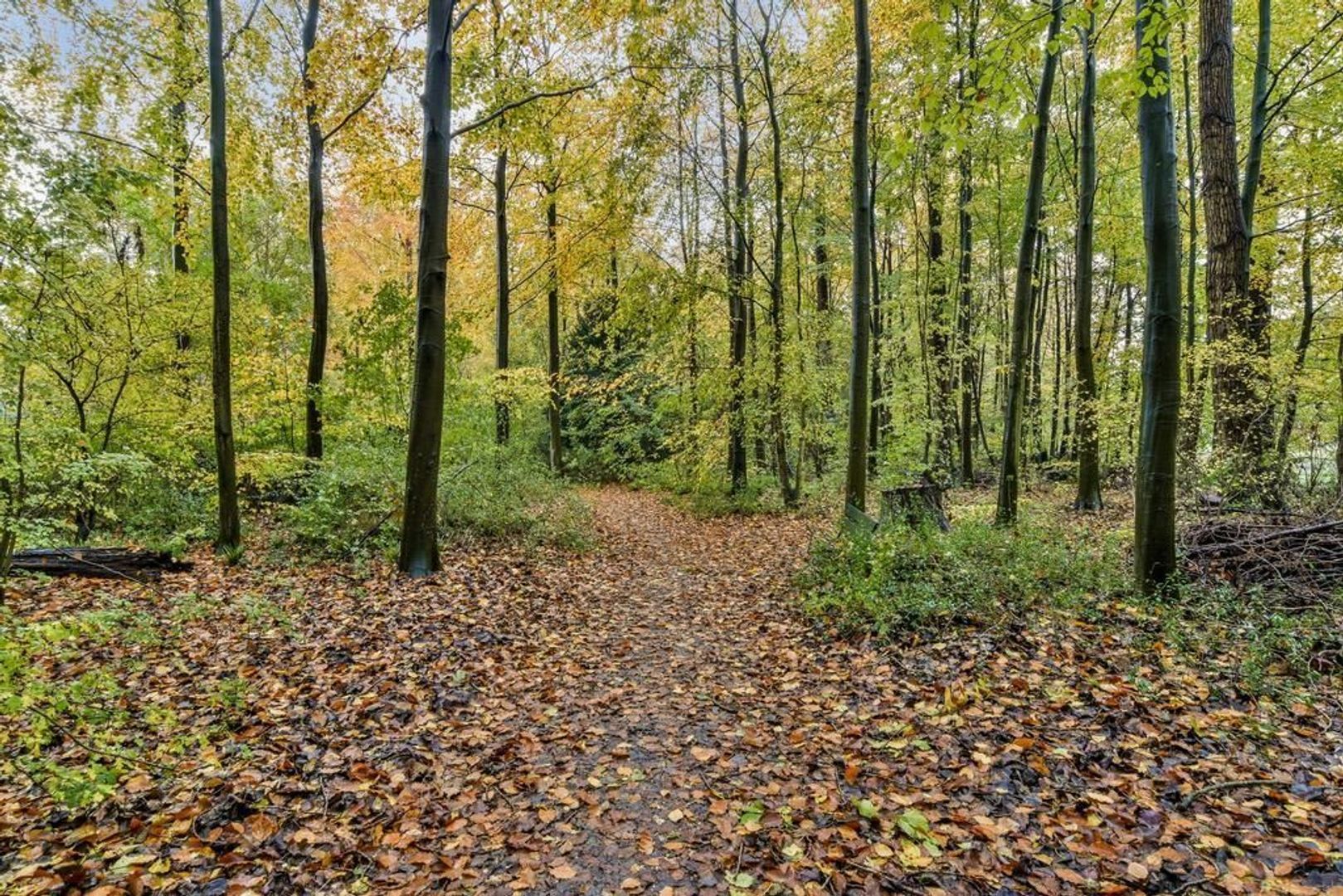 Beysterveld 59 + PP, Amsterdam foto-34