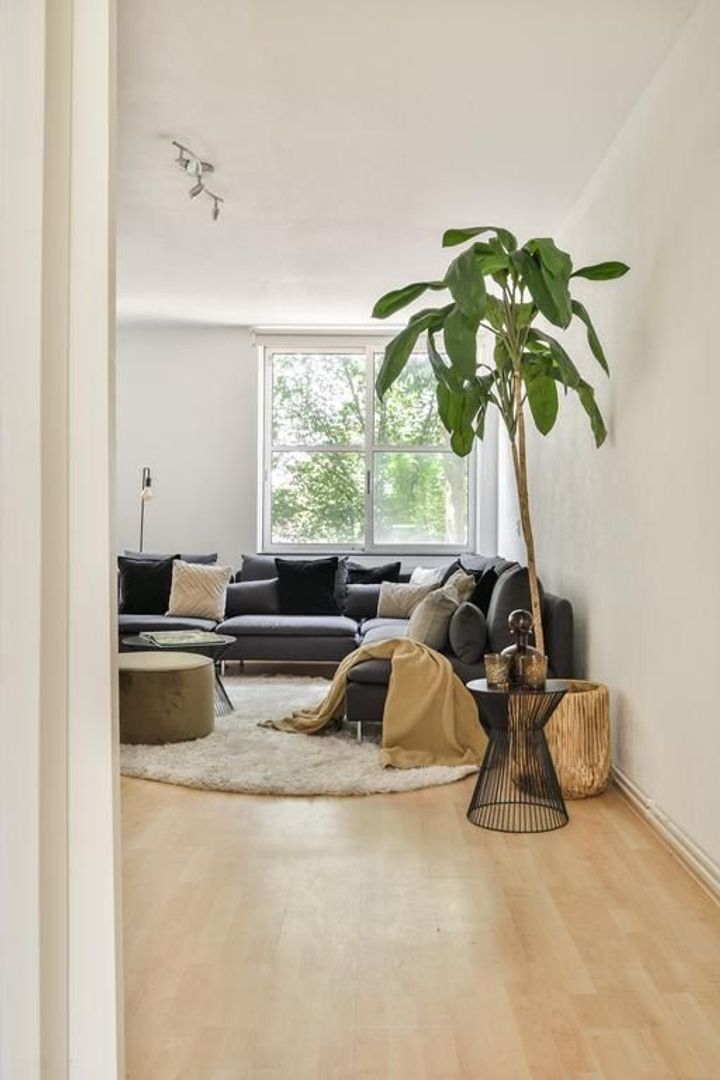 Tegenhouderstraat 49, Amsterdam foto-2