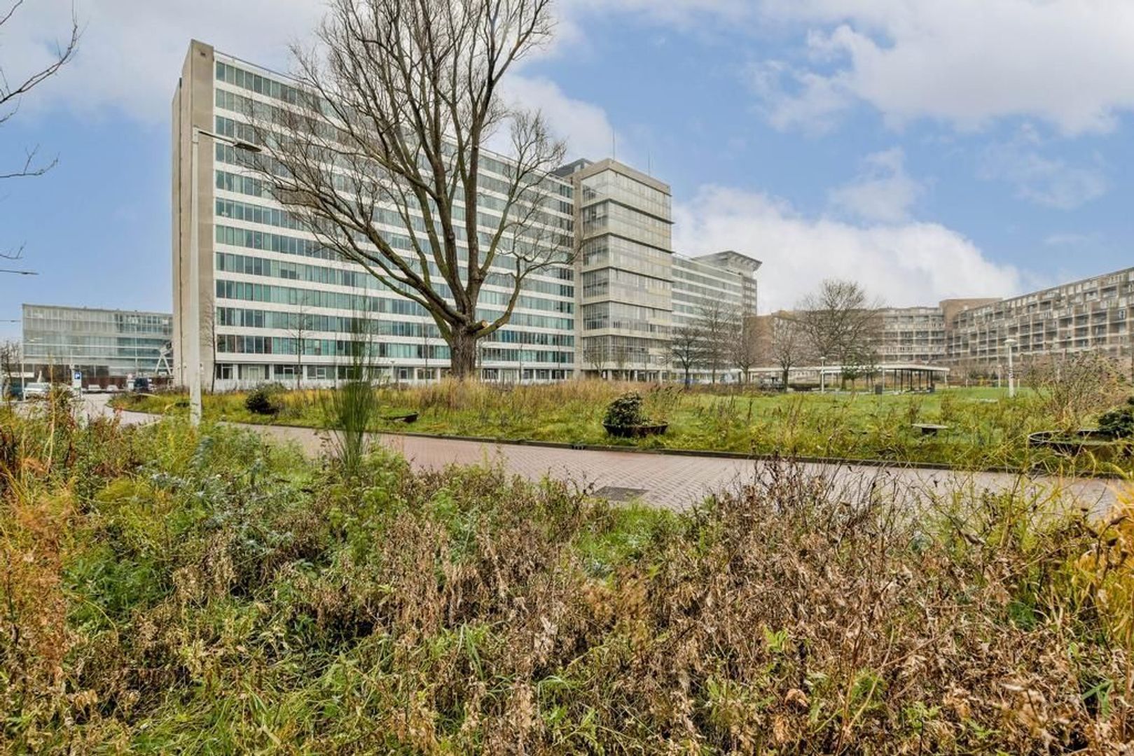 Bos en Lommerplantsoen 111 M, Amsterdam foto-19