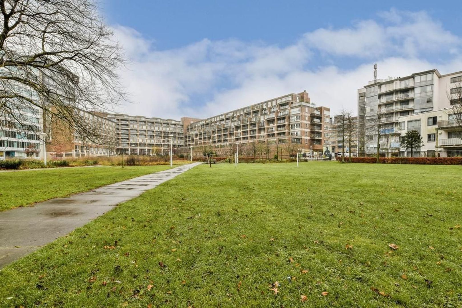 Bos en Lommerplantsoen 111 M, Amsterdam foto-18