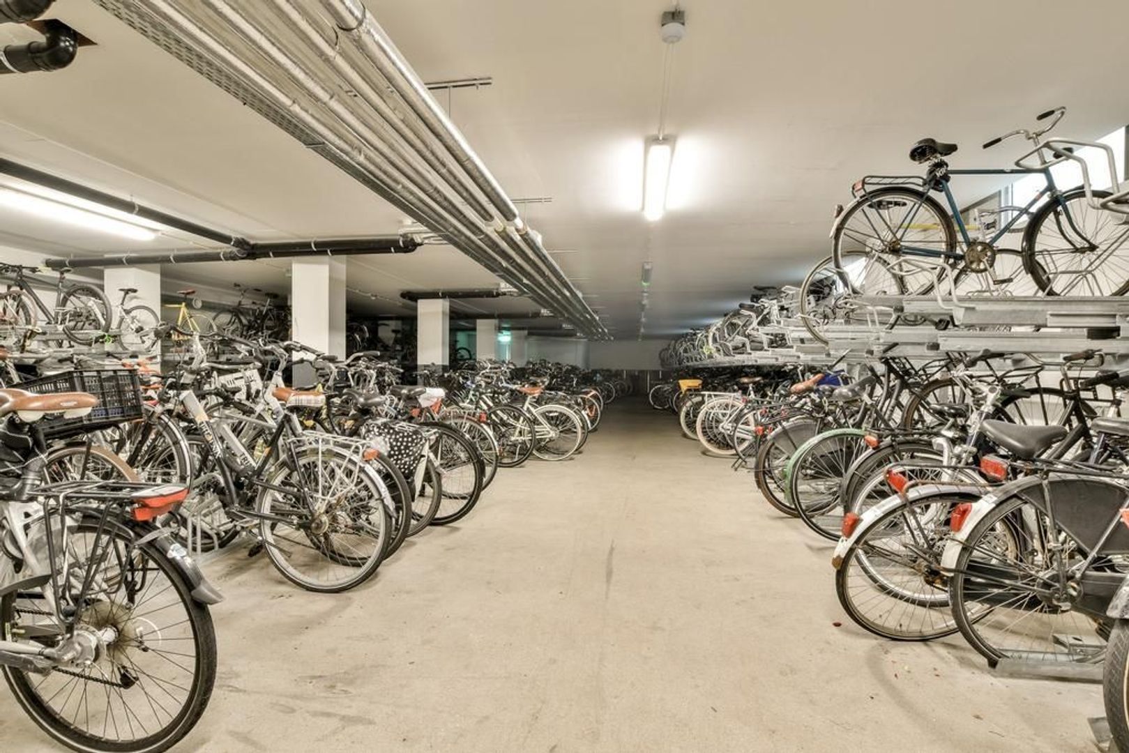 Bos en Lommerplantsoen 111 M, Amsterdam foto-15