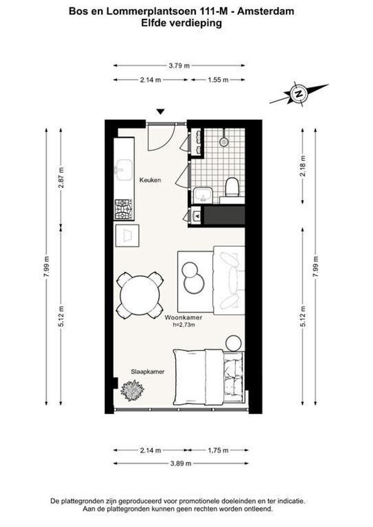 Bos en Lommerplantsoen 111 M, Amsterdam foto-22