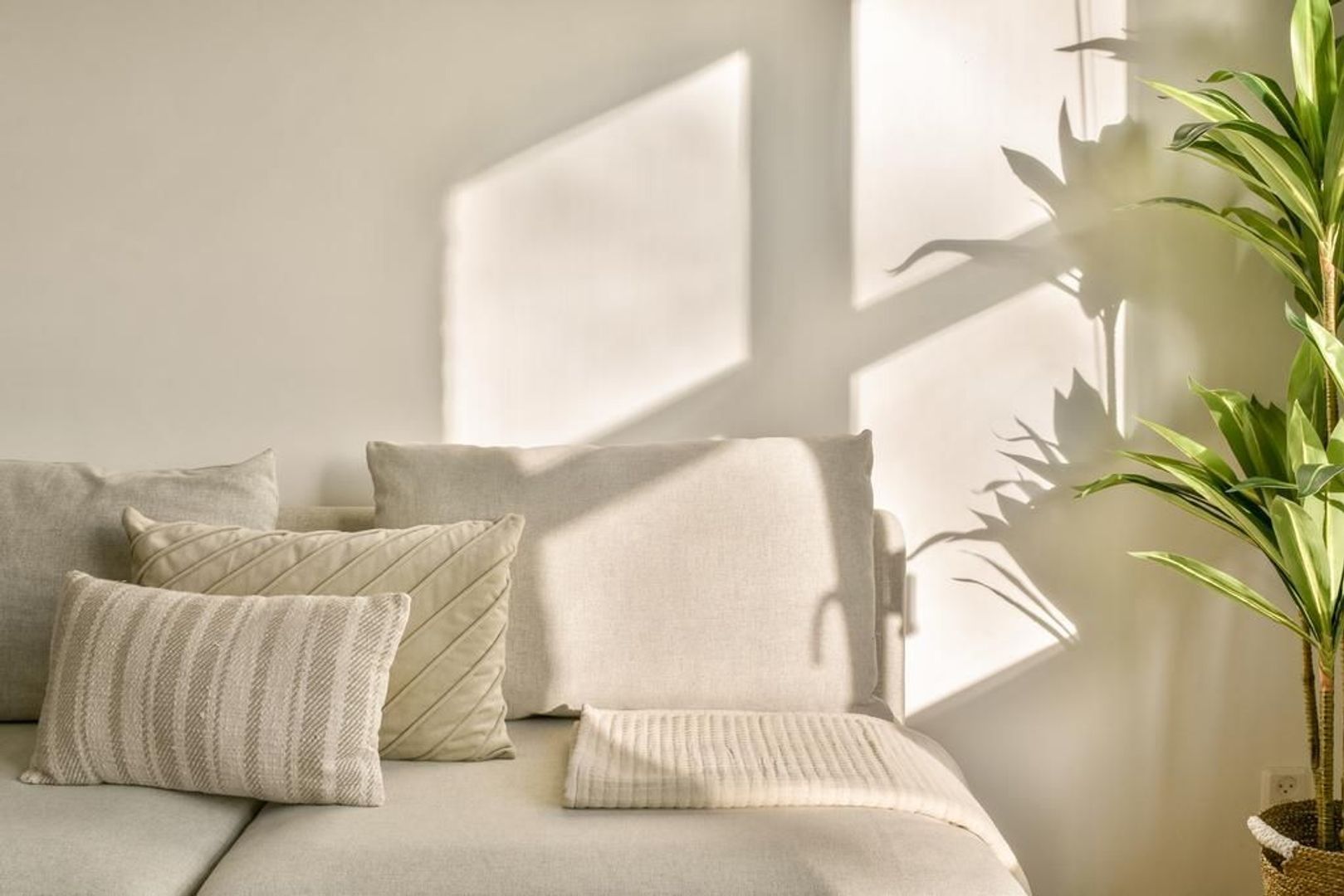 Wingerdweg 301, Amsterdam foto-3