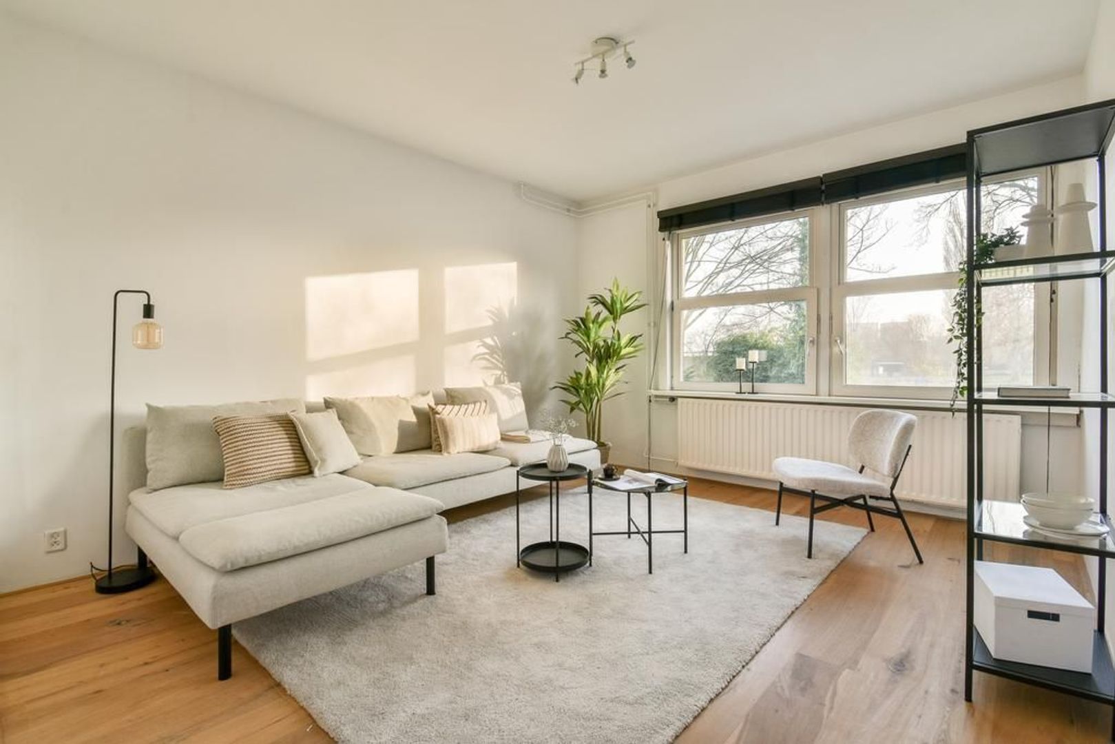 Wingerdweg 301, Amsterdam foto-2