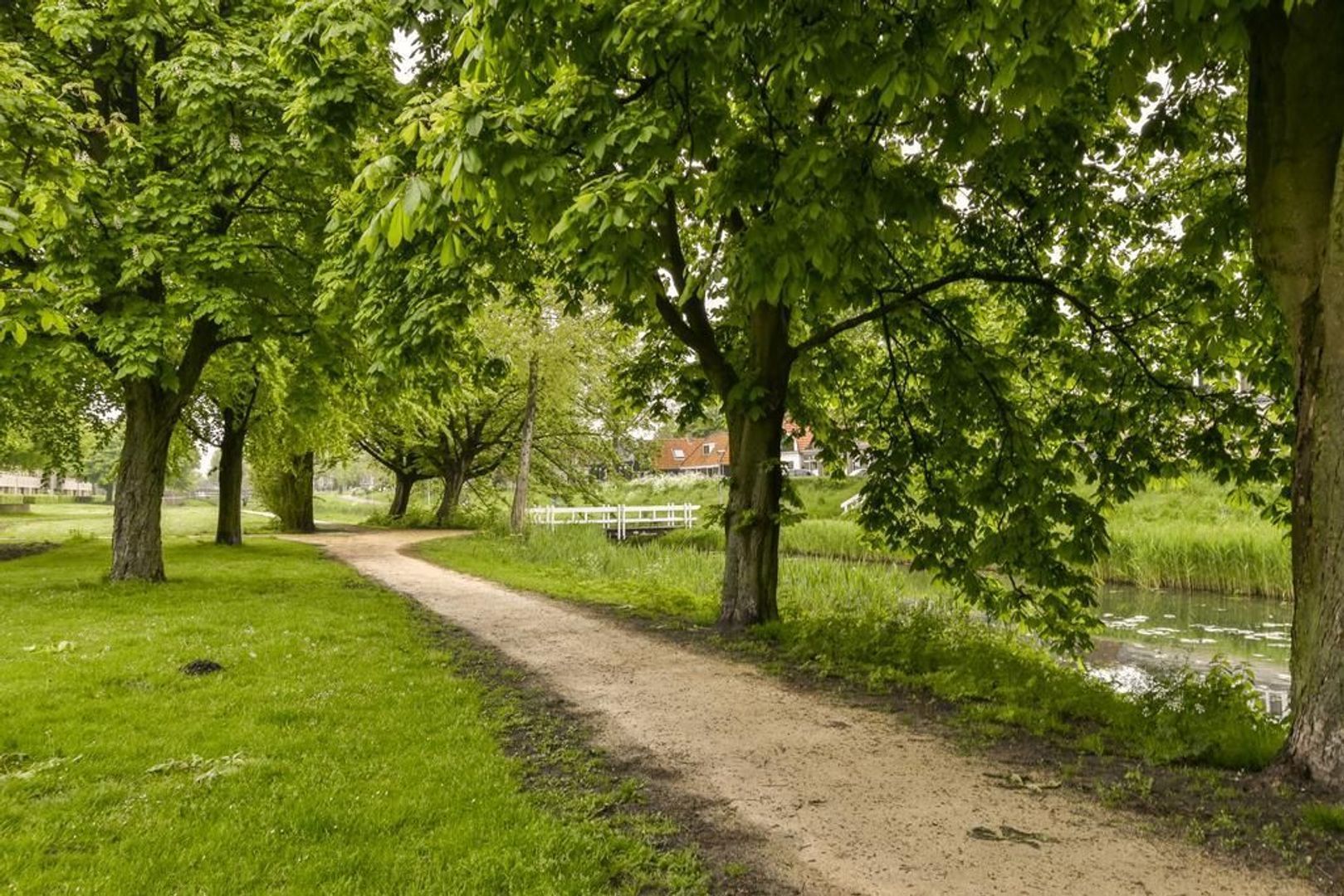 Wingerdweg 301, Amsterdam foto-15