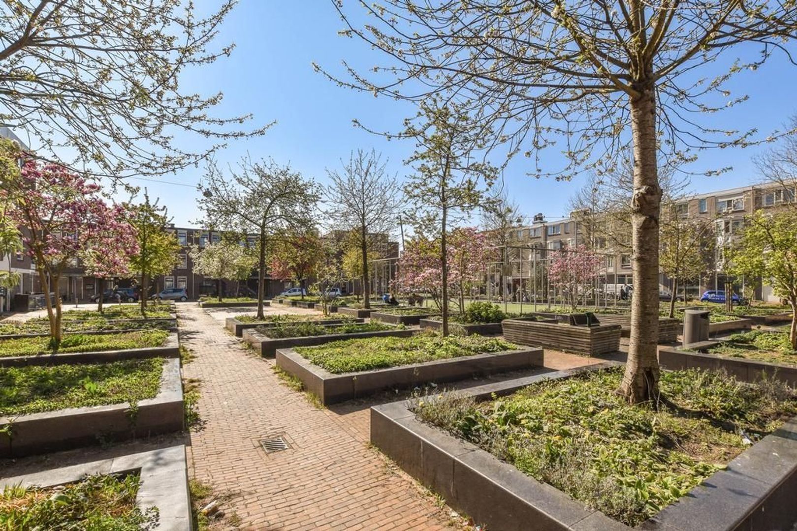 Borgerstraat 19 A, Amsterdam foto-15