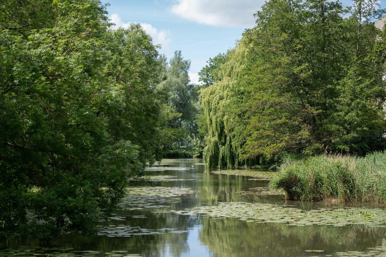 De Klencke 105 A, Amsterdam foto-23