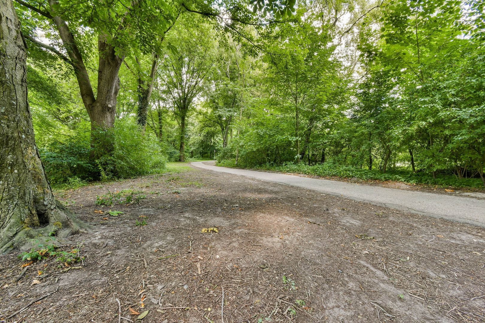 Nachtwachtlaan 262, Amsterdam foto-21