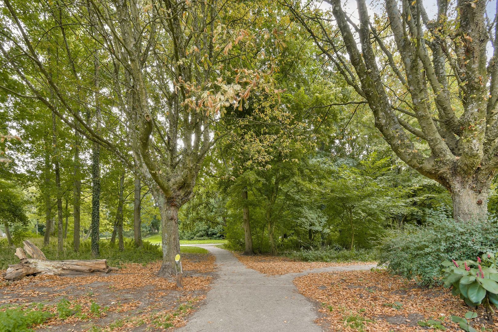 Hoofdweg 359 2, Amsterdam foto-24