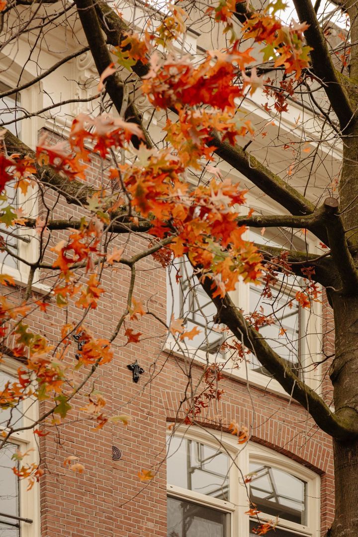 Spaarndammerstraat 25 3, Amsterdam foto-32