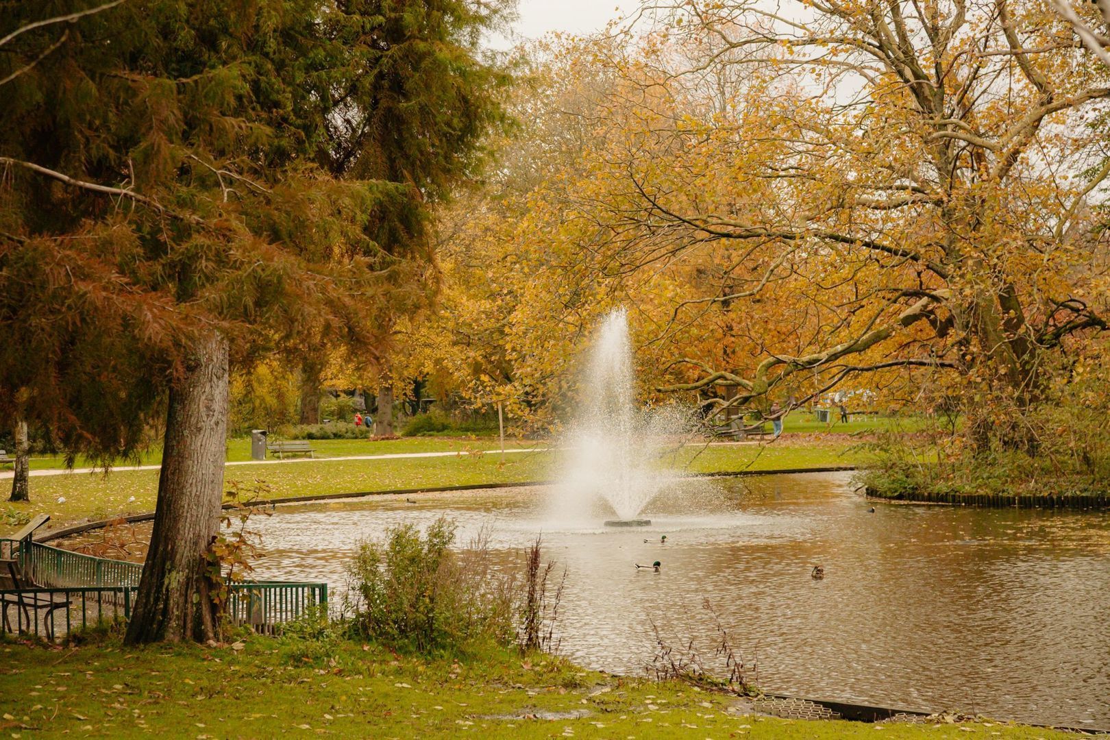 Spaarndammerstraat 25 3, Amsterdam foto-34