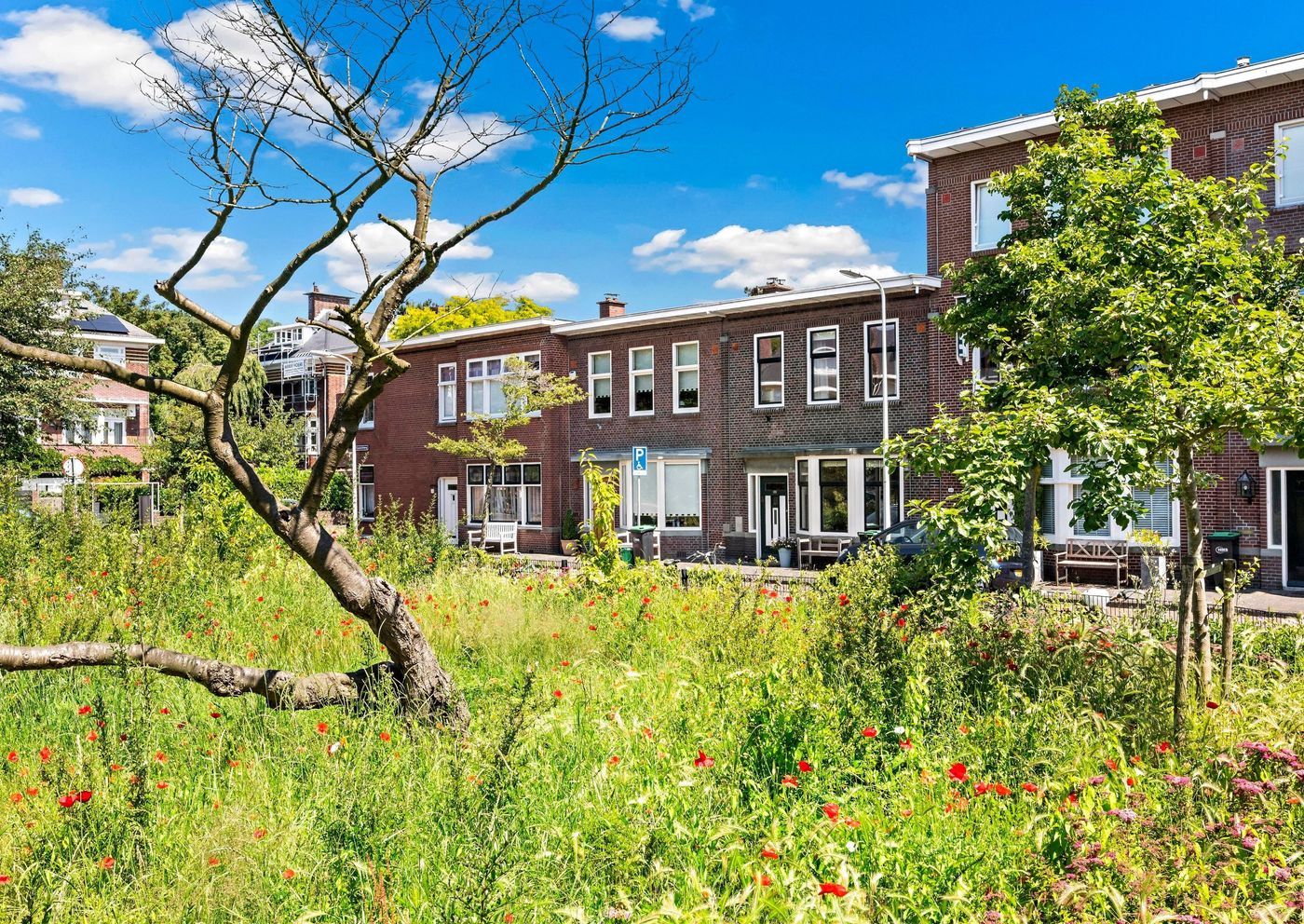 Hyacinthweg 62, Den Haag foto-1