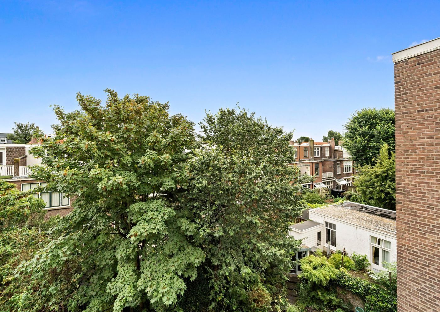 Paulus Buijsstraat 40, Den Haag foto-31