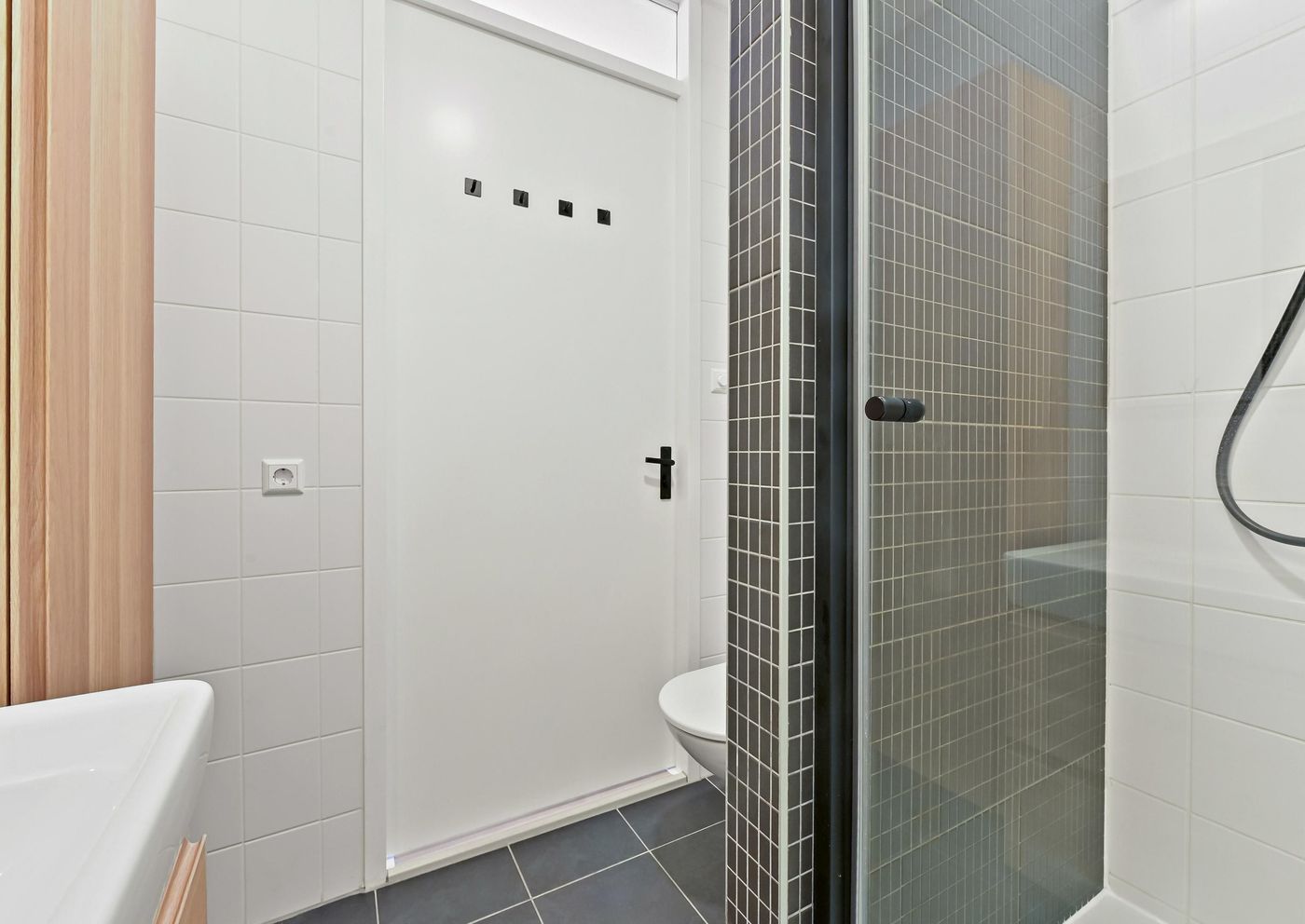 Hebriden 223, Zoetermeer foto-14