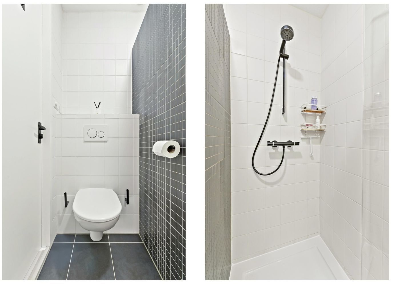 Hebriden 223, Zoetermeer foto-15