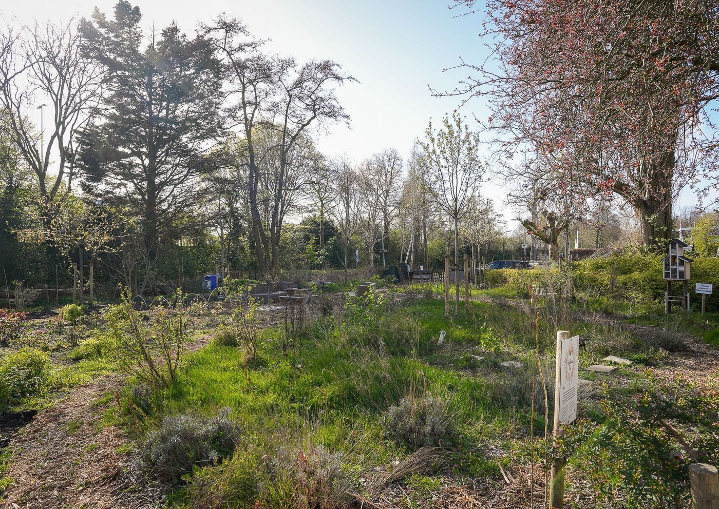 van Zegwaardstraat 286, Voorburg foto-33