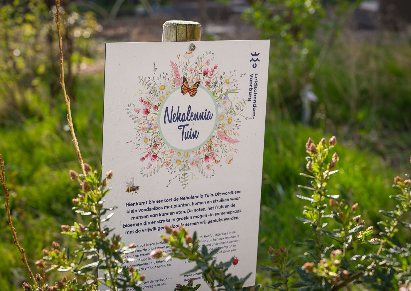 van Zegwaardstraat 286, Voorburg foto-32