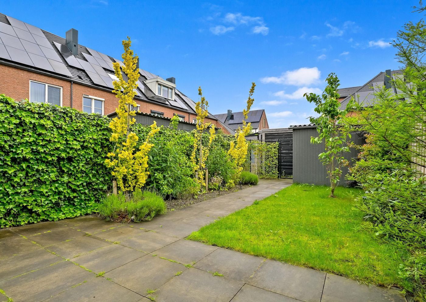 Kapiteel 33, Waddinxveen foto-16