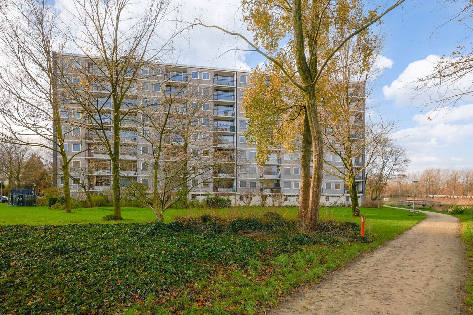 Amerbos 244, Amsterdam foto-1