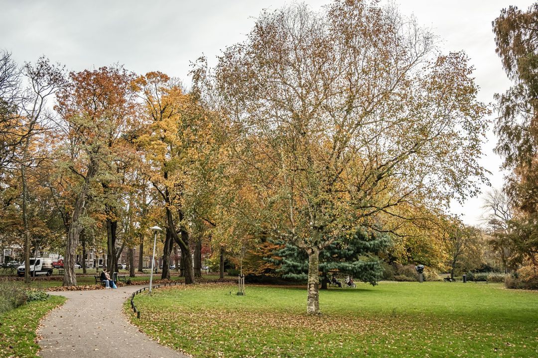 Prinsenstraat 29, Utrecht photo-41