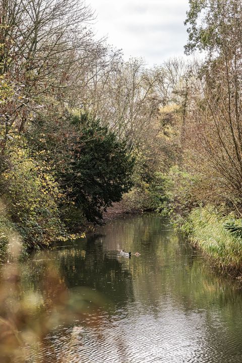 Waterstede 123, Maarssen photo-24