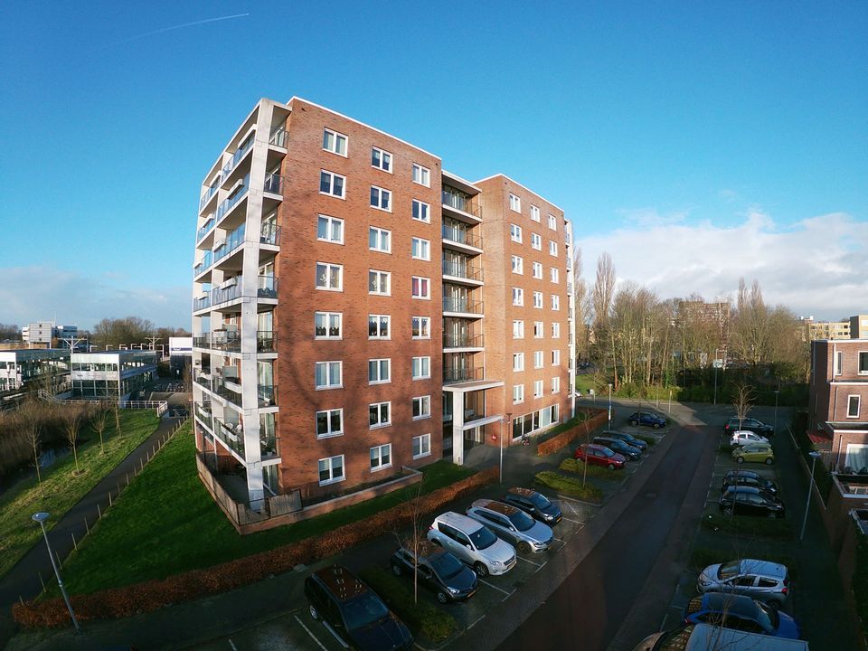 Assertoren, Rotterdam