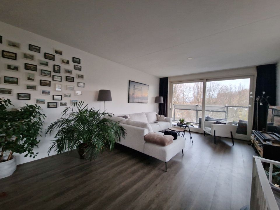 Teltinghof, Rotterdam